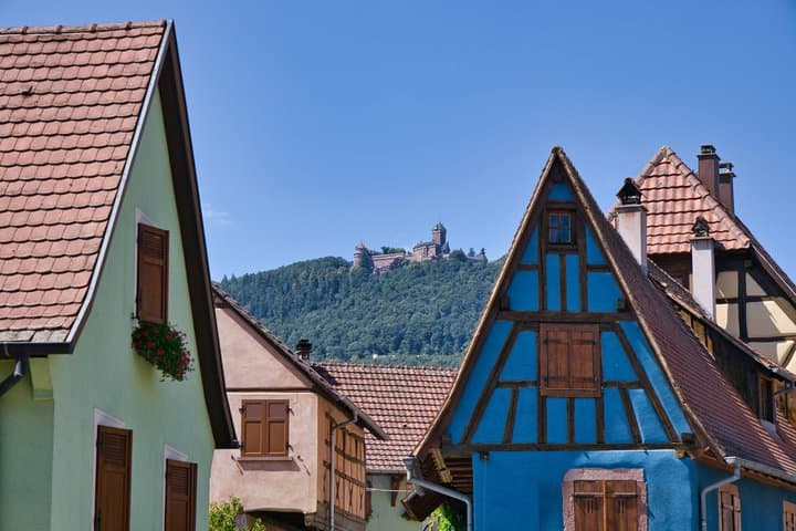Alsace Castles & Winery: Full Day Private Shore Tour from Colmar