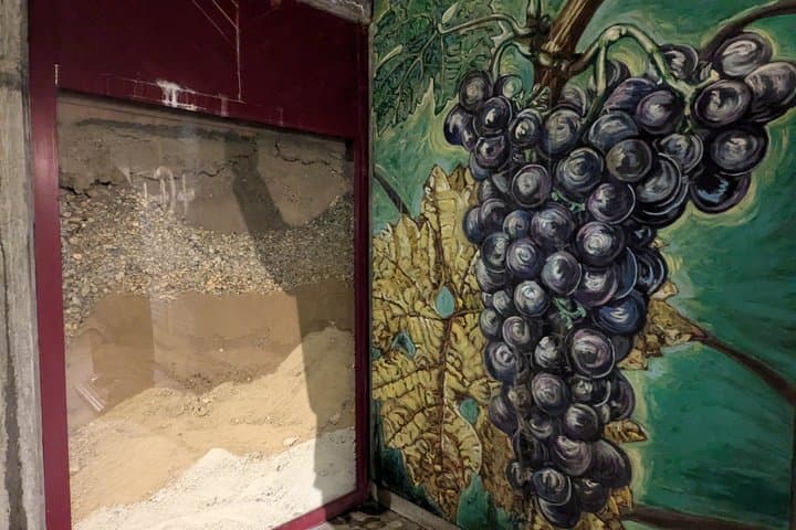 Bordeaux Private Wine Tours at Left Bank Graves