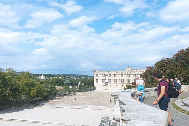 Private Avignon Walking Tour Popes Palace and Pont dAvignon