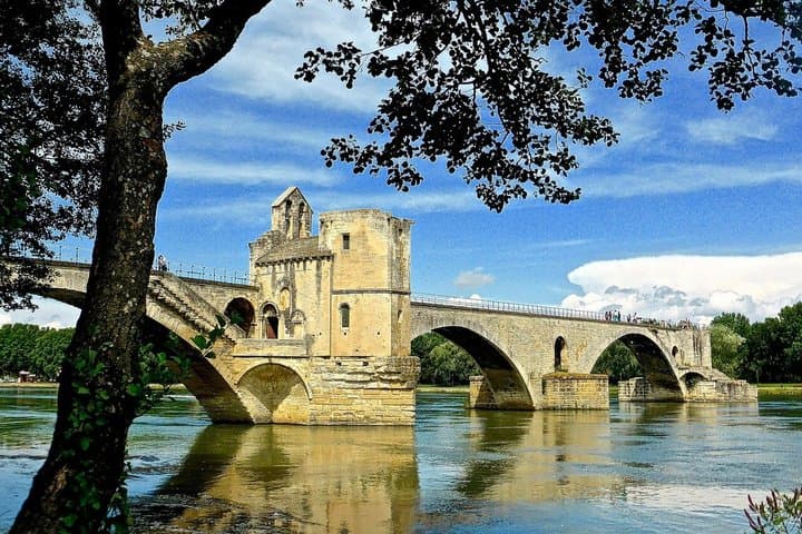 Private Avignon Walking Tour Popes Palace and Pont dAvignon