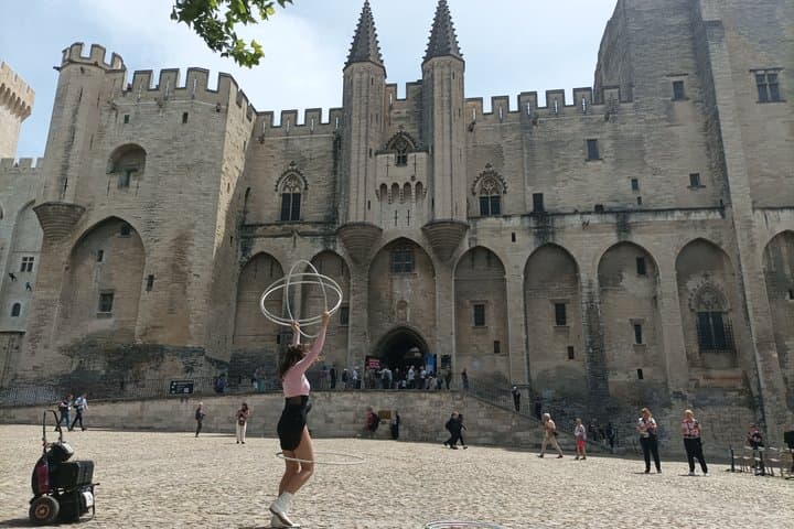 Private Avignon Walking Tour Popes Palace and Pont dAvignon