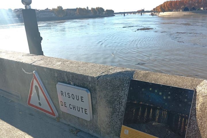 Private Guided Tour of Arles Roman Monuments and Van Gogh Trail