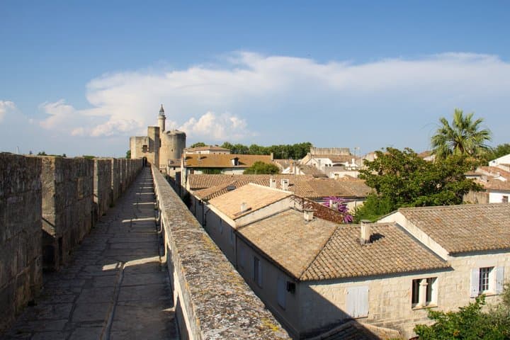 Private Shore Tour: Provence & Camargue Highlights