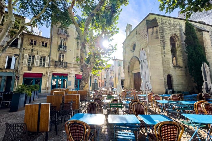 Private Shore Tour: Avignon & Papal Heritage from Arles