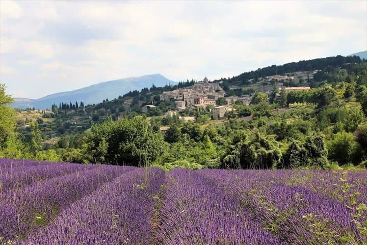 Private Tour of Provence Lavender Fields and Scenic Vistas