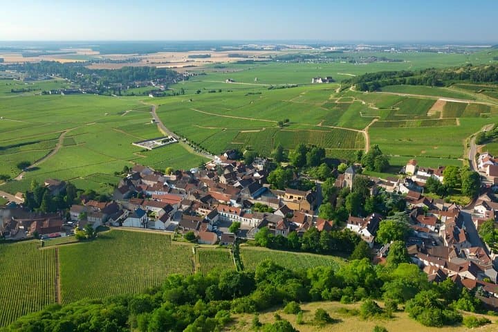 Paris Côte de Nuits Burgundy Wine Tour with Cellar Visit Tasting