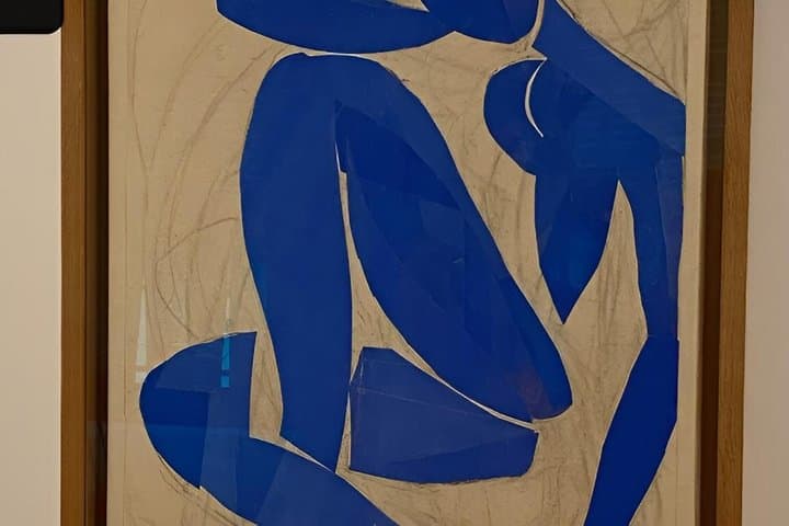4 Museum Art Tour in Nice Matisse Chagall Fine Arts Massena