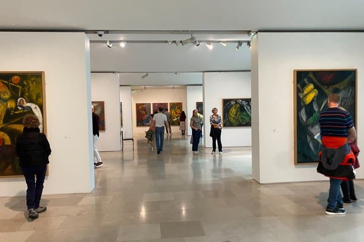 4 Museum Art Tour in Nice Matisse Chagall Fine Arts Massena