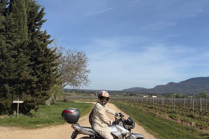 Sainte Victoire Cezanne Picasso and Wine Tour