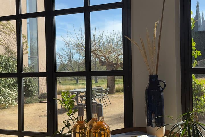 Painting and Wine Tasting in Provence