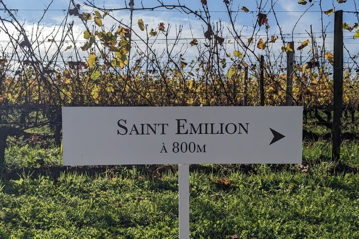 Full Day Saint-Emilion: 2 Wineries with Tastings + Village Tour