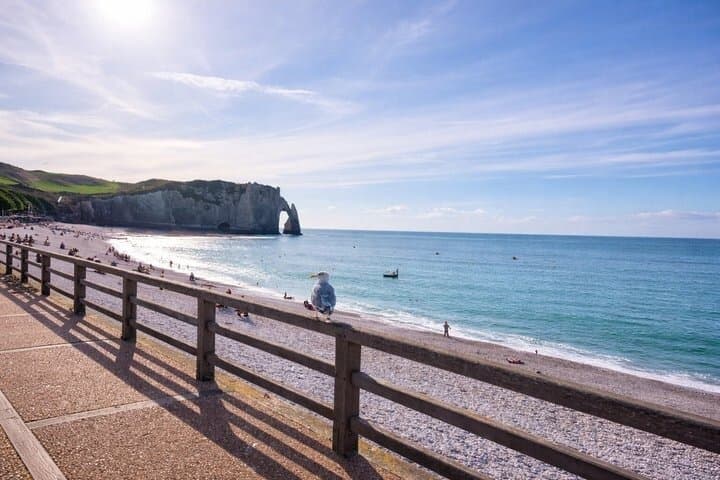 Étretat and Honfleur Normandy coast Private DayTrip from Paris