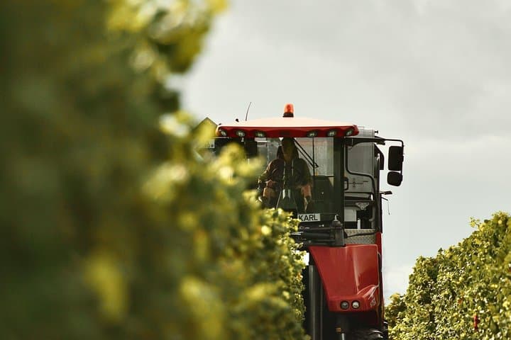 Exclusive Champagne Day Private Tour
