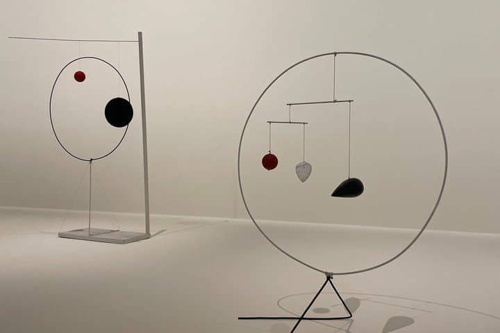 Fondation Louis Vuitton (Alexandre Calder) Private Tour