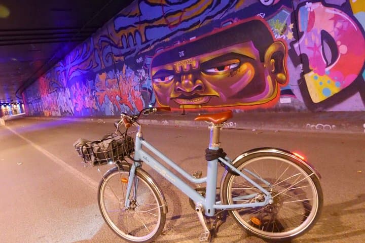Premium Paris Vineyard Experience by E-Bike: Wine Tasting Tour