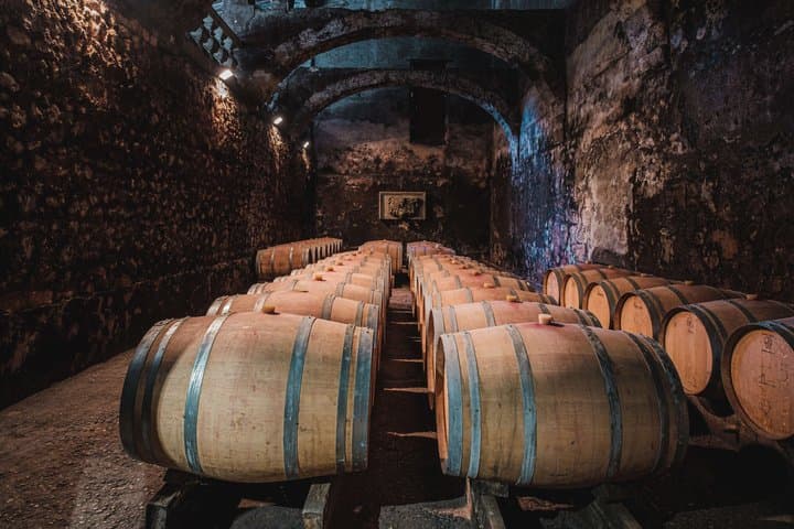 Médoc Wine Tour from Bordeaux Châteaux Visits and Tastings