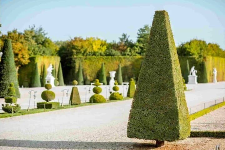 Versailles Private Tour with Golf Cart and Trianon Access