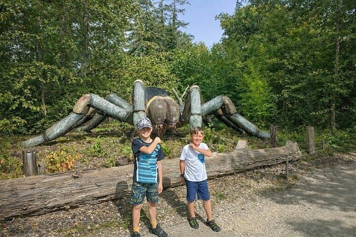 From Safari to Vikings A Family Day Tour