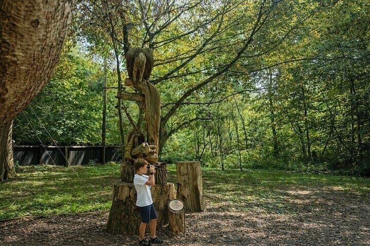From Safari to Vikings A Family Day Tour