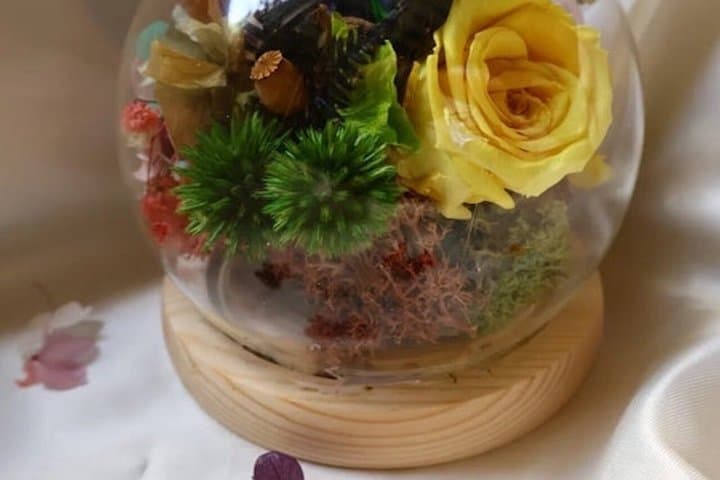Create Your Mini Eternal Flower Bell Jar in Paris