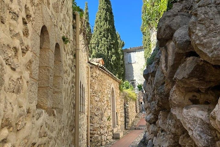 From Cannes Private tour to Eze and Monaco