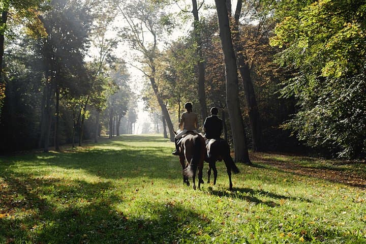 Versailles Horseback Riding Tour with Transfer from Paris