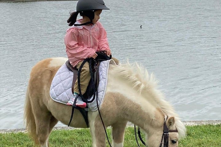 Versailles Horseback Riding Tour with Transfer from Paris