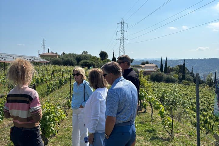 Full-Day Private Tour, Wine Tasting and Antibes Point of Sale