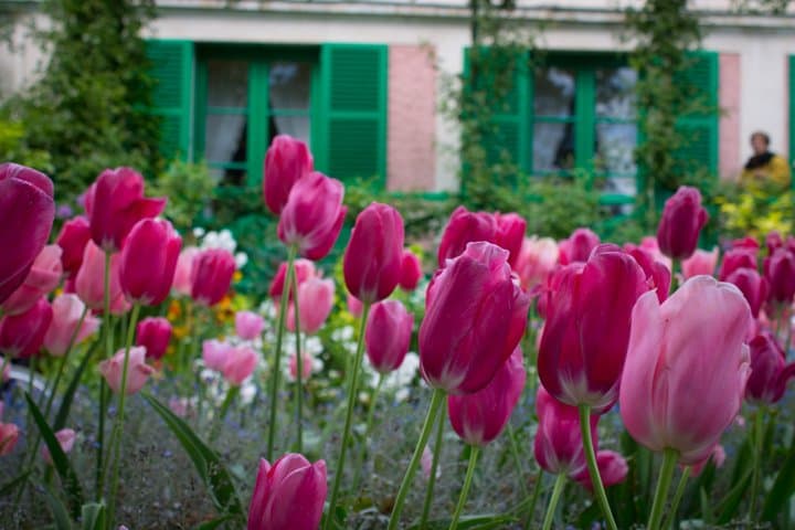 Rouen & Monet's Giverny Private Tour from Le Havre I Guide Option