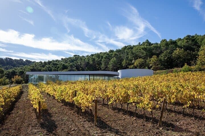 Provence Wine Contemporary Art and Iconic Architecture