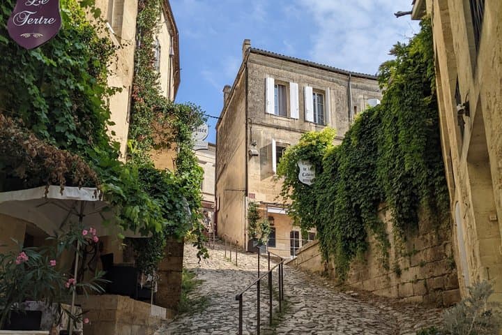 Full Day Saint-Emilion: 2 Wineries with Tastings + Village Tour