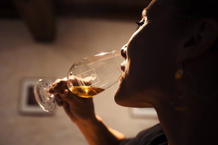 Commented tasting of 8 wines at the Domaine de Herrebouc