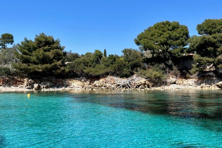 Cagnes : Cap d Antibes and Lerins Islands Boat Trip with snorkel