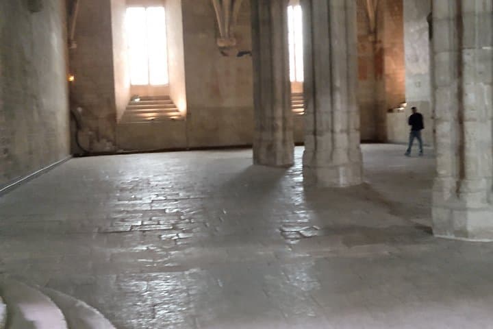 Immersion in the Heart of Avignon Secret of the Popes and Friendliness