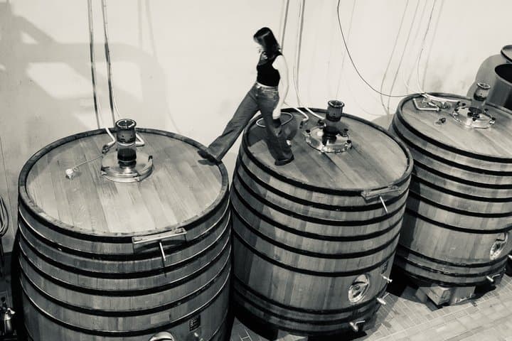Vignobles Chatonnet Visit