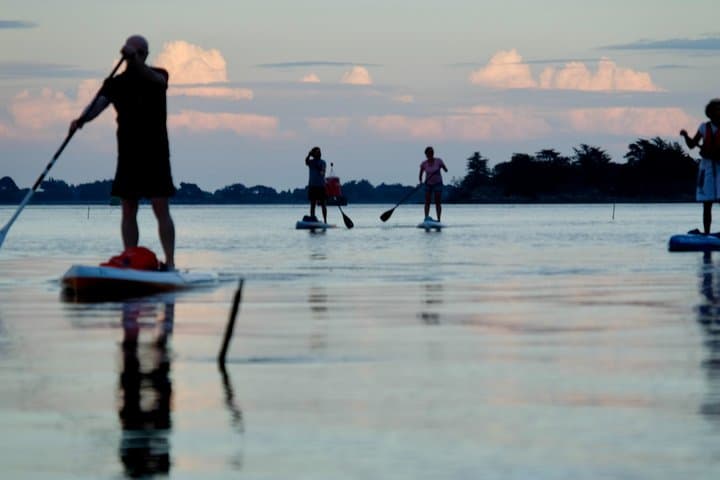 Stand up Paddle and Kayaking on the Gulf of Morbihan