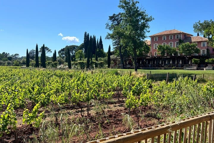 Sun Vines and Gold Rose Private Luxury Wine Journey from Cannes