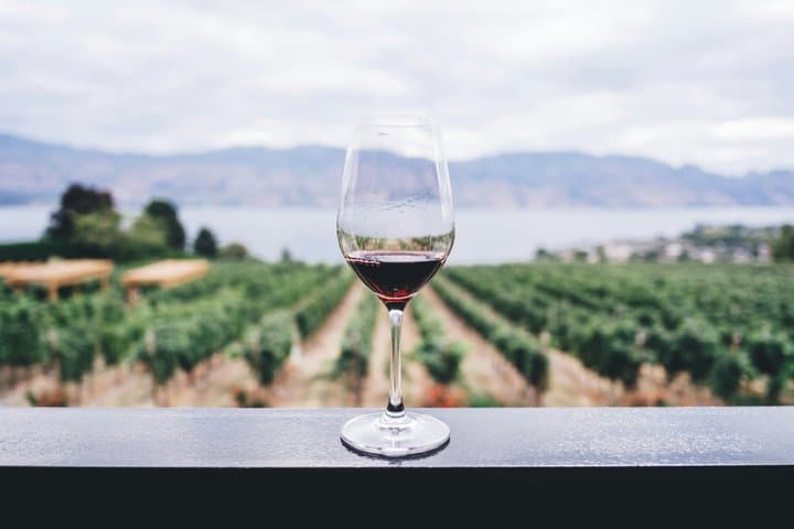 Sun Vines and Gold Rose Private Luxury Wine Journey from Cannes