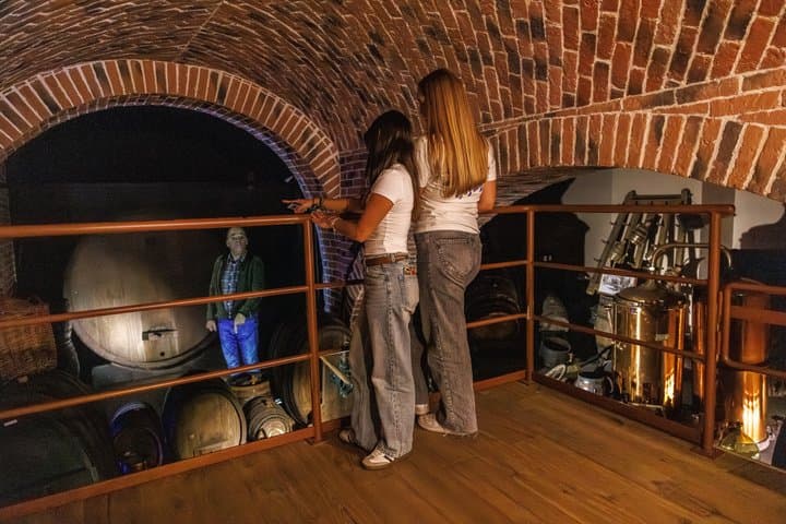 Colmar: Inside Vino Storia - Journey Through Alsace Wine History