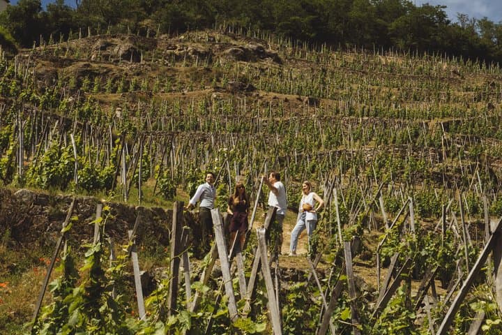 Côtes du Rhone Private Wine Day Tour by Vintage Range Rover