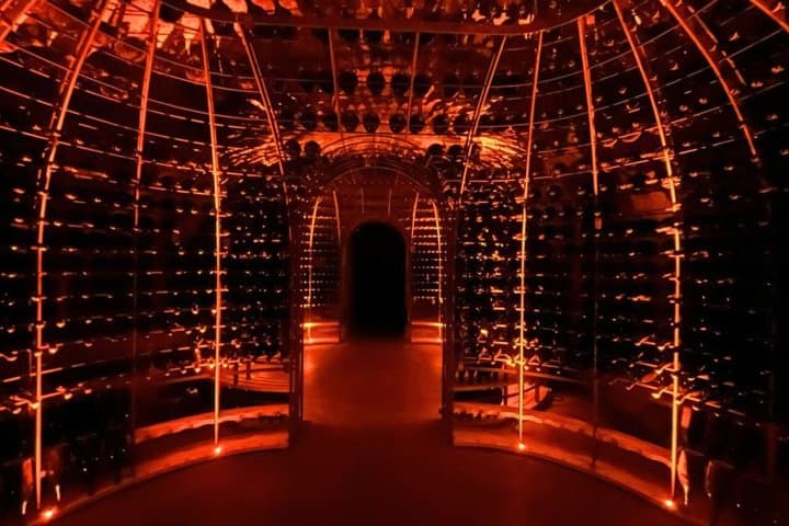 Champagne Day Trip from Paris with 7 Tastings Prestigious Houses