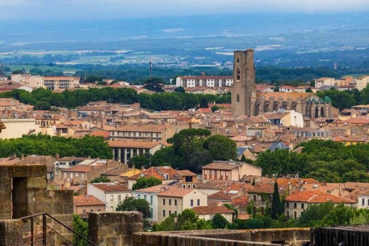 TOP Carcassonne : Private Guided Tour with your mobile