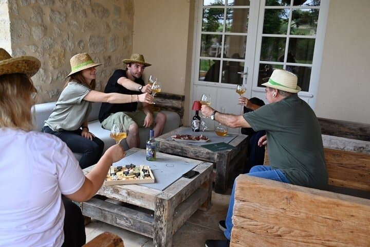 Explore Authentic Tasting Organic Wines Bordeaux