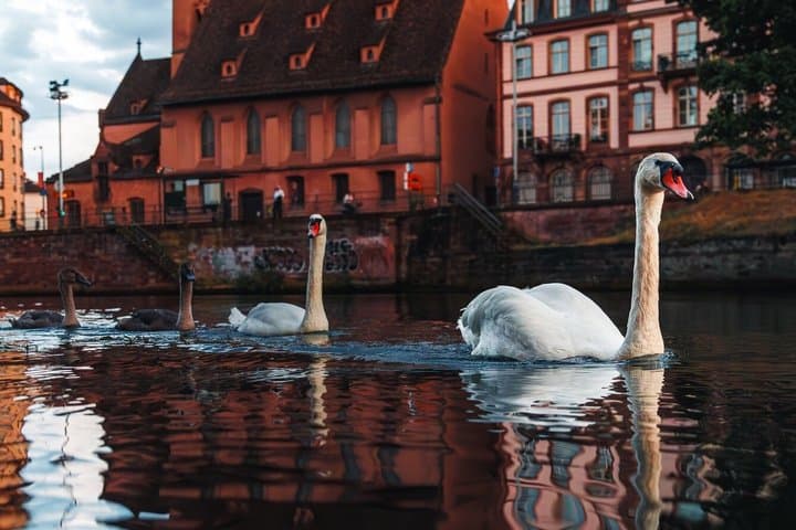 Strasbourg Guided tour Behind the scenes of history