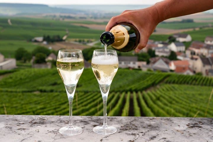 Private Champagne Day Trip - Two Vineyards of Reims & Lunch