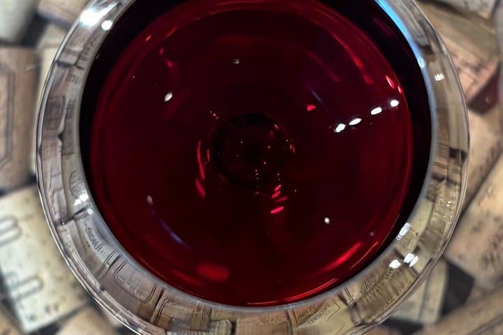 Burgundy Wine Tasting in Dijon
