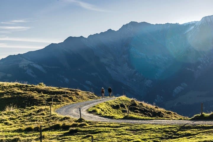 Cols du Tour de France à Bike: Aravis with Certified Guide
