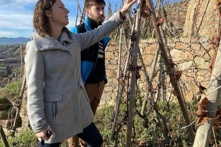 Exclusive Wine Tour and Tasting in the Rhone