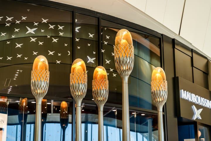 VIP Lounge Access and Premium Shopping at CAP3000
