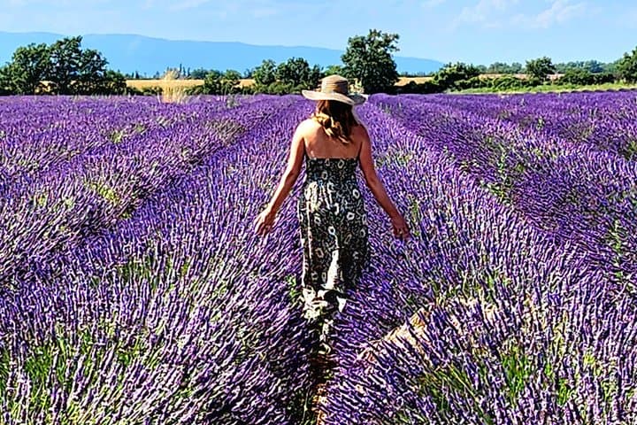 Canyon of Verdon and Lavender fields